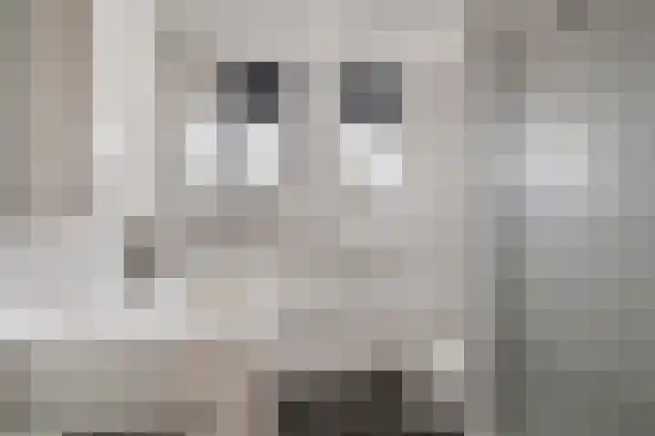 Sabelpootlaan 31 Barneveld thumbnail 25
