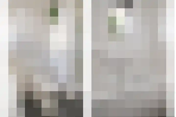 Sabelpootlaan 31 Barneveld thumbnail 27