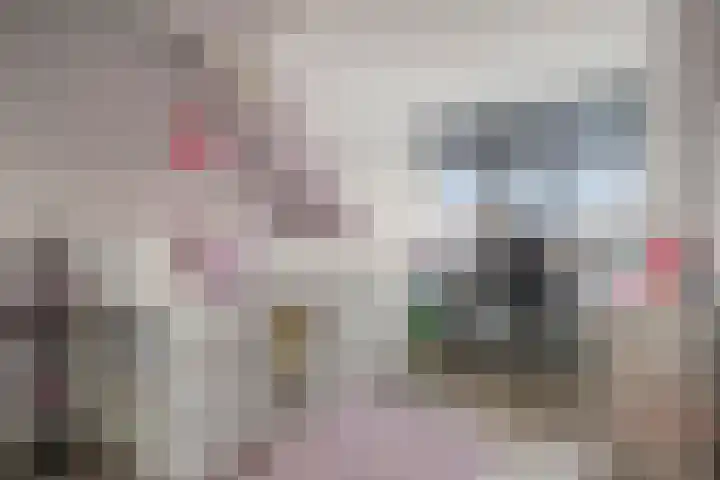 Sabelpootlaan 31 Barneveld thumbnail 32
