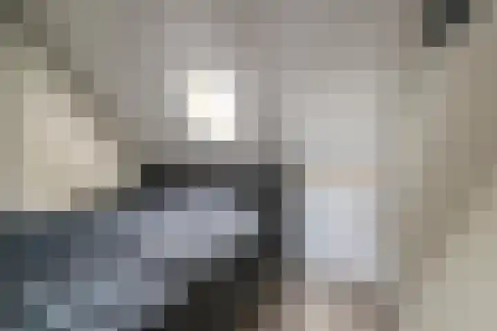 Sabelpootlaan 31 Barneveld thumbnail 34