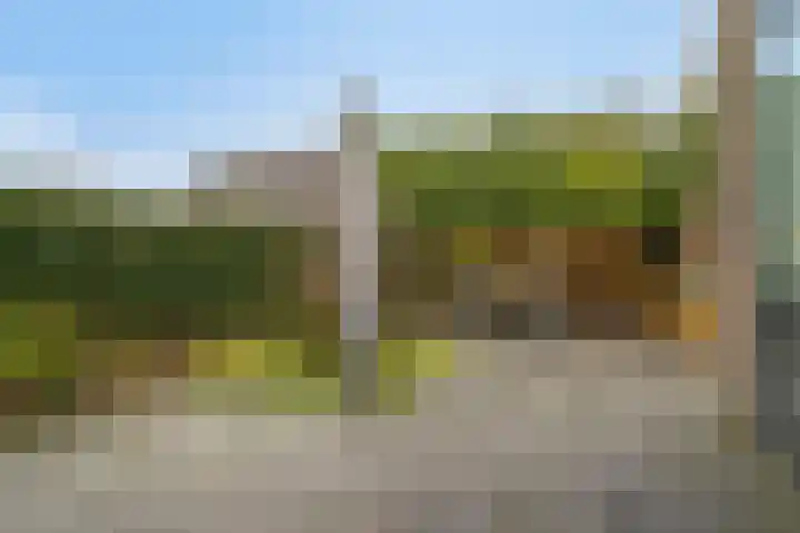 Sabelpootlaan 31 Barneveld thumbnail 35