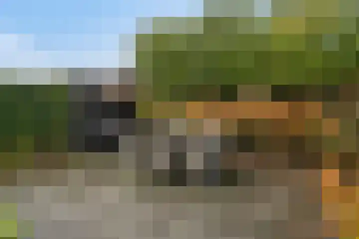 Sabelpootlaan 31 Barneveld thumbnail 36