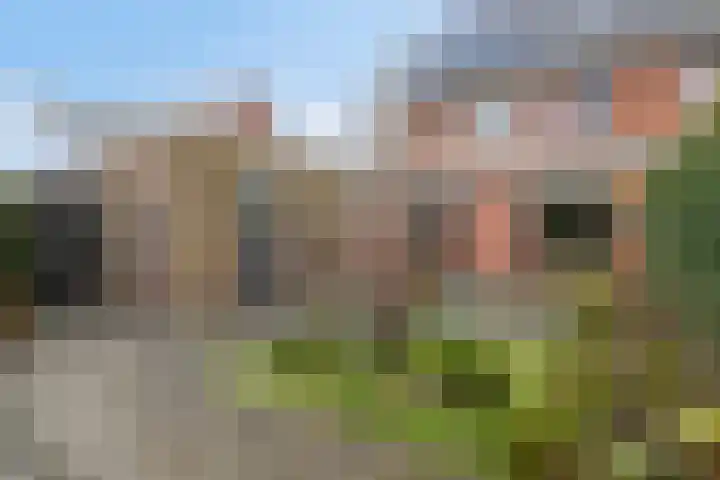 Sabelpootlaan 31 Barneveld thumbnail 38