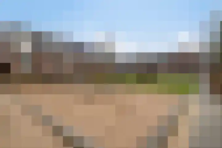 Sabelpootlaan 31 Barneveld thumbnail 40