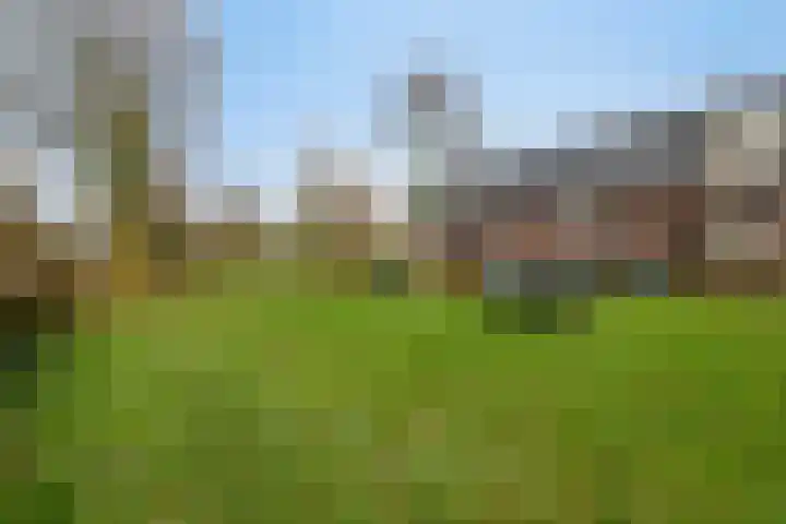 Sabelpootlaan 31 Barneveld thumbnail 41