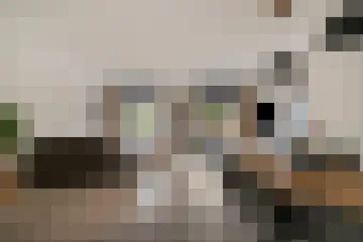 Sabelpootlaan 31 Barneveld thumbnail 7