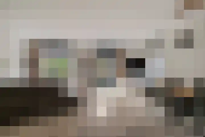 Sabelpootlaan 31 Barneveld thumbnail 8
