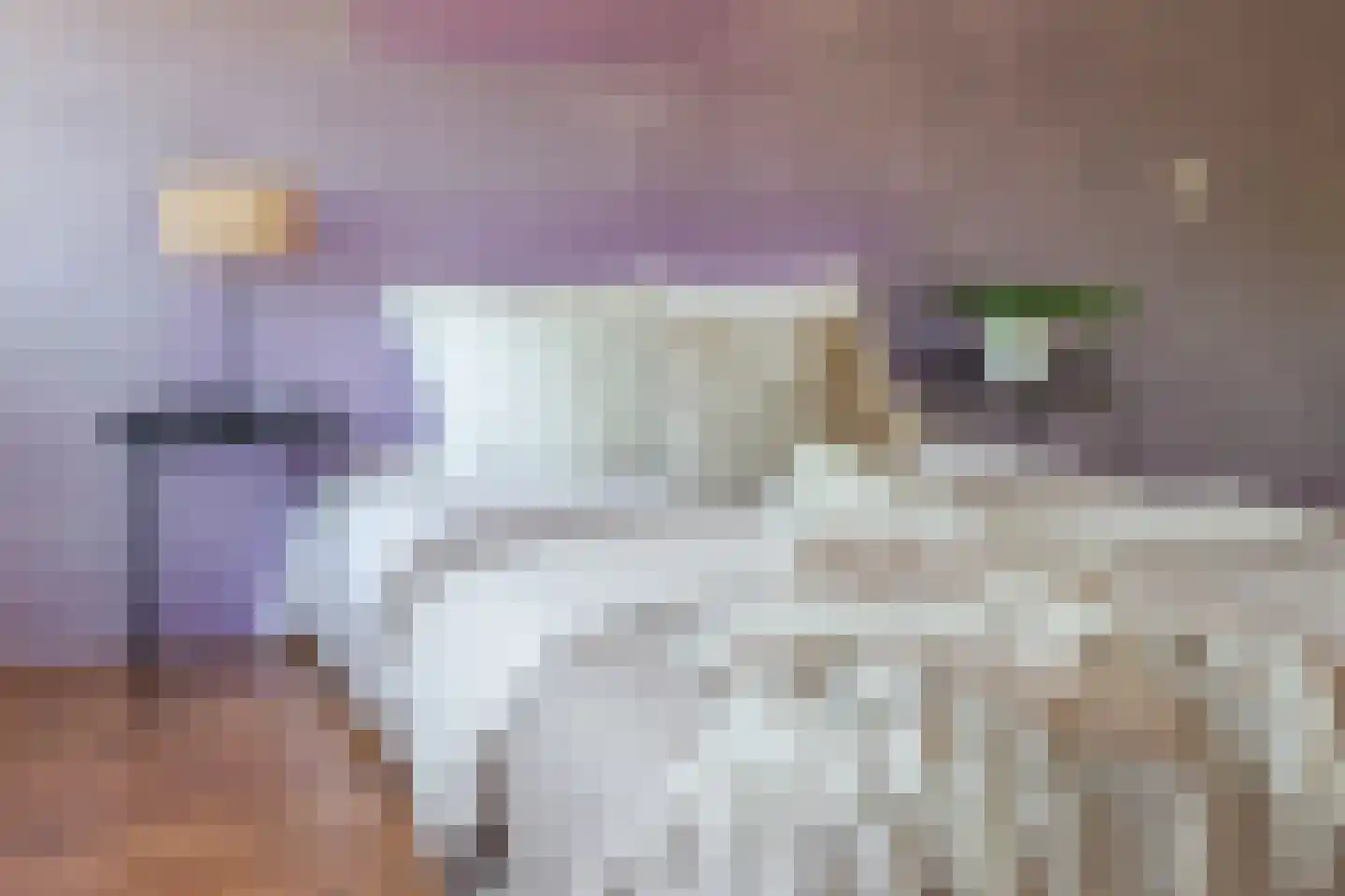Sabelpootlaan 35 Barneveld thumbnail 22