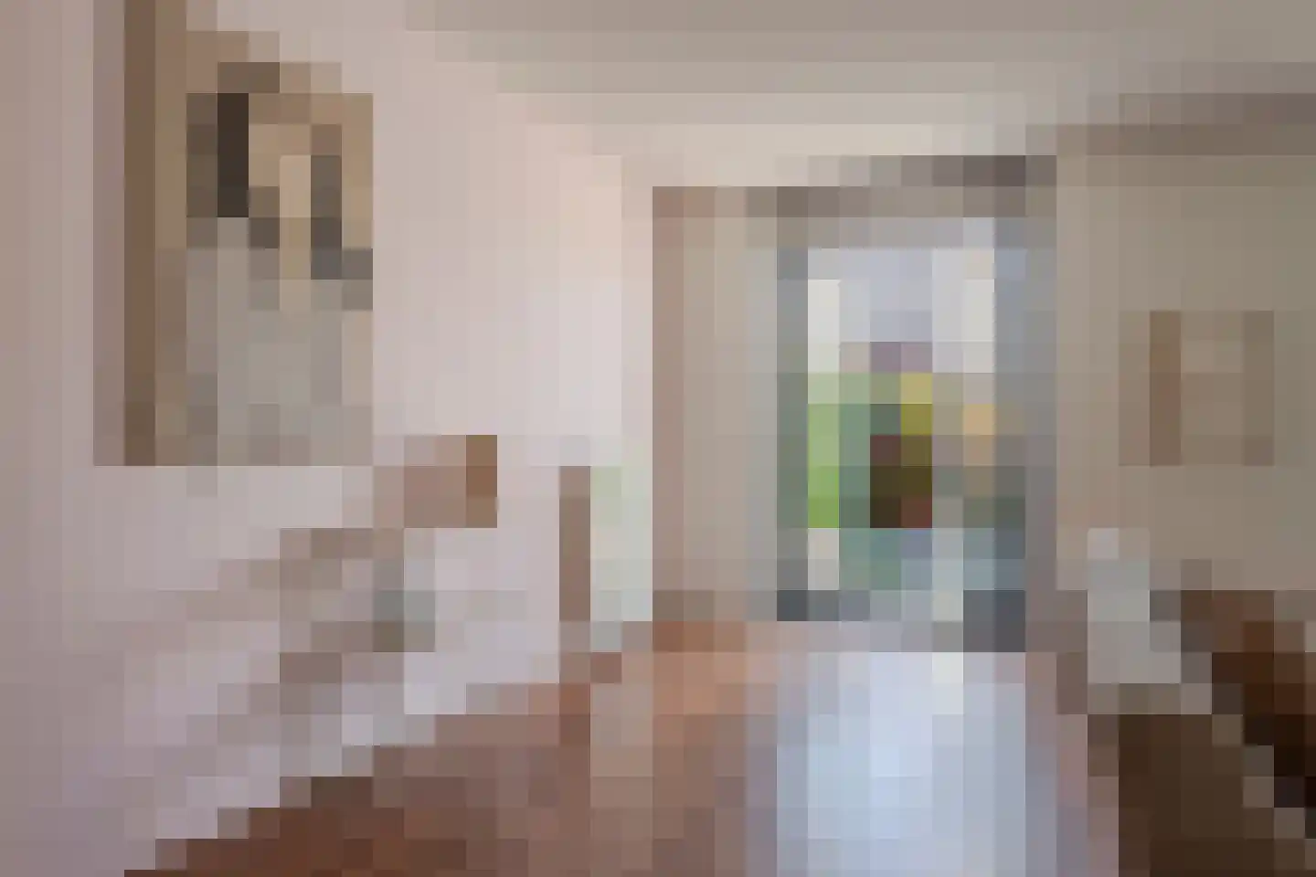 Sabelpootlaan 35 Barneveld thumbnail 34
