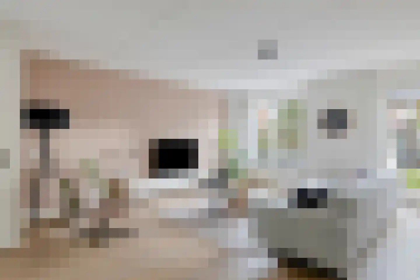 Sabelpootlaan 7 Barneveld thumbnail 10