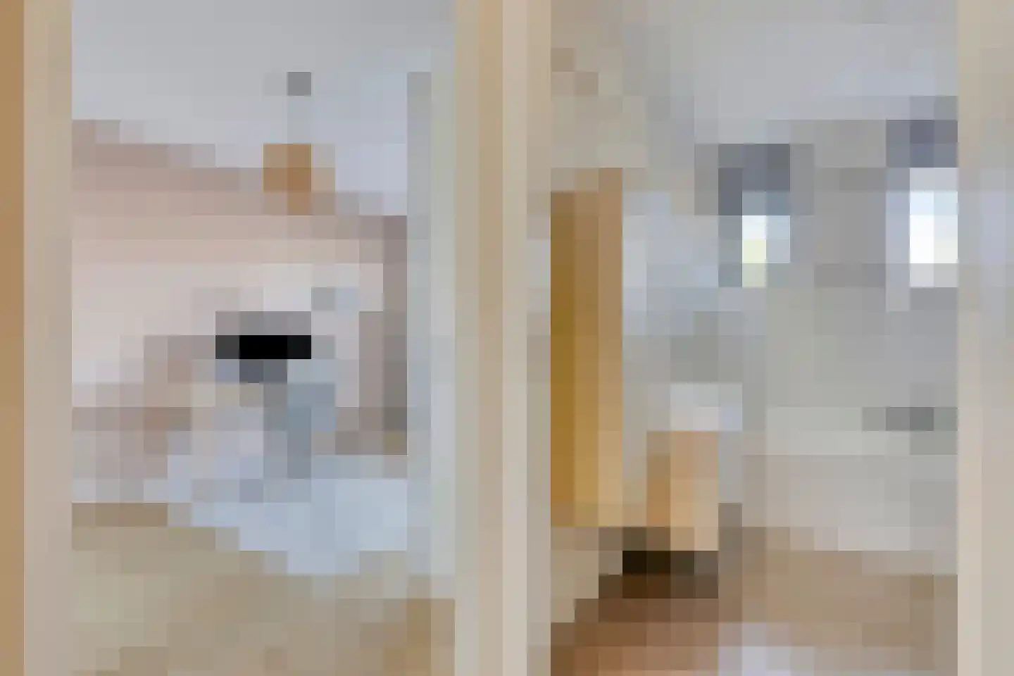Sabelpootlaan 7 Barneveld thumbnail 23