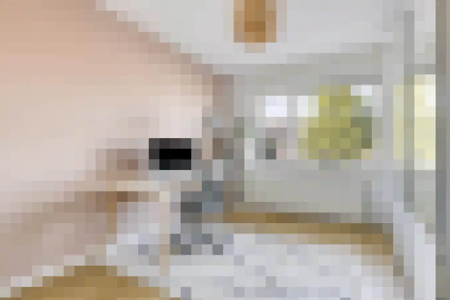 Sabelpootlaan 7 Barneveld thumbnail 24