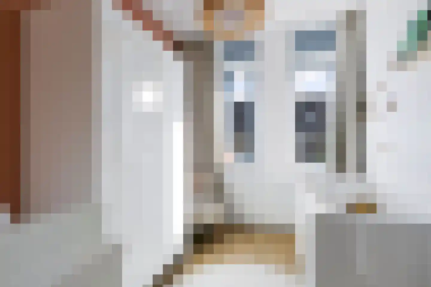 Sabelpootlaan 7 Barneveld thumbnail 26