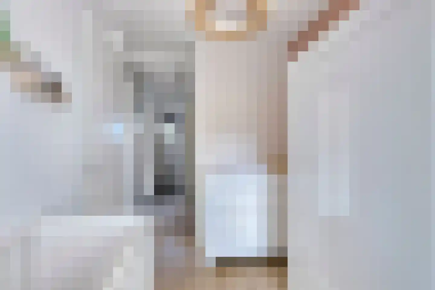 Sabelpootlaan 7 Barneveld thumbnail 27
