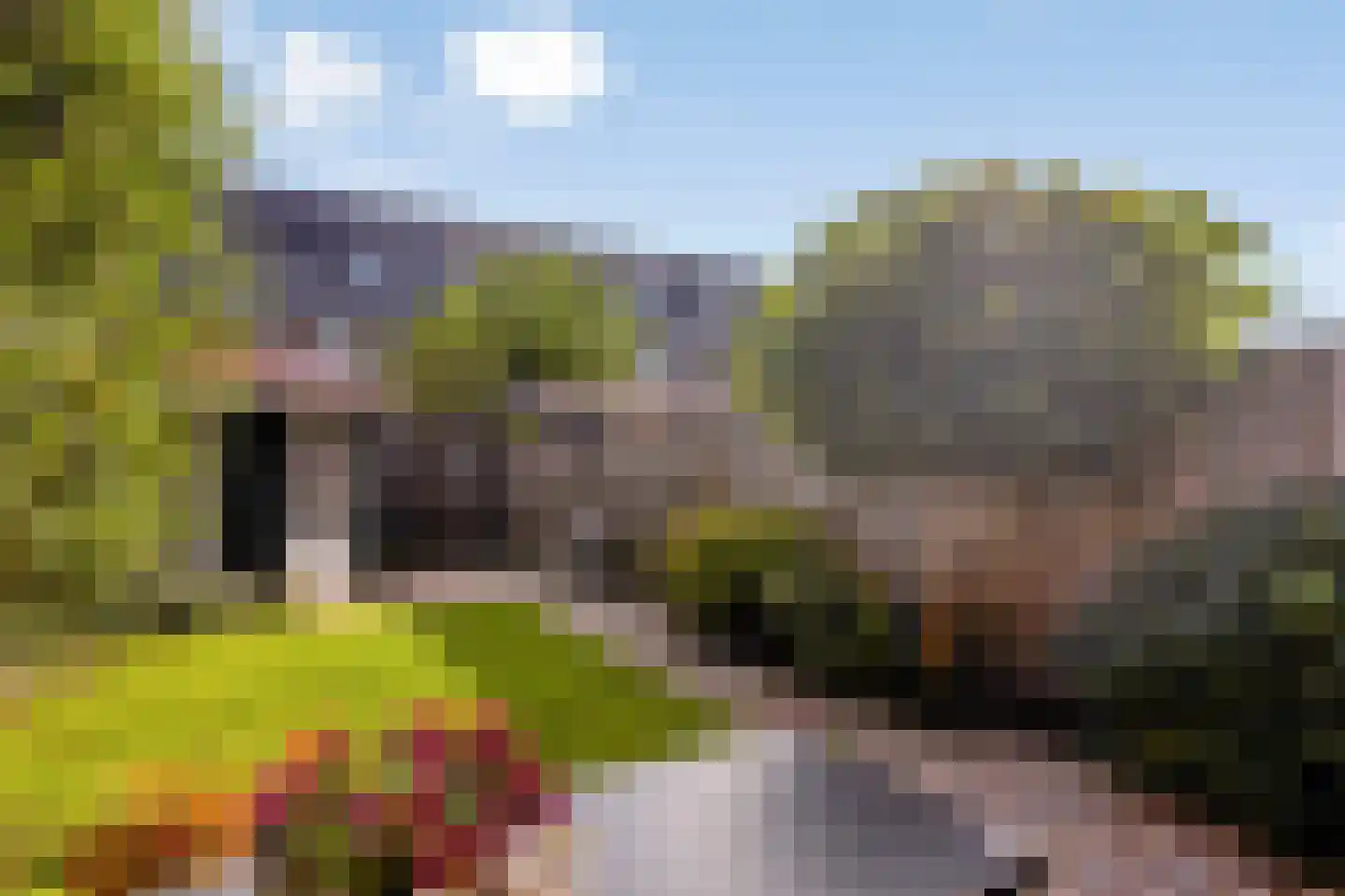 Sabelpootlaan 7 Barneveld thumbnail 35