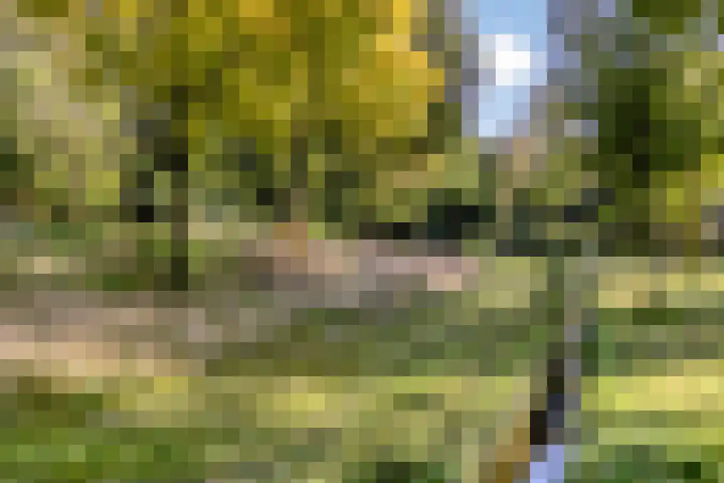 Sabelpootlaan 7 Barneveld thumbnail 42