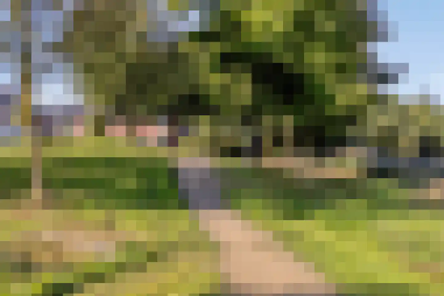 Sabelpootlaan 7 Barneveld thumbnail 43