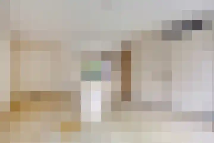 Sabinahof 19 Waarland thumbnail 10