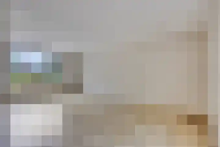 Sabinahof 19 Waarland thumbnail 12