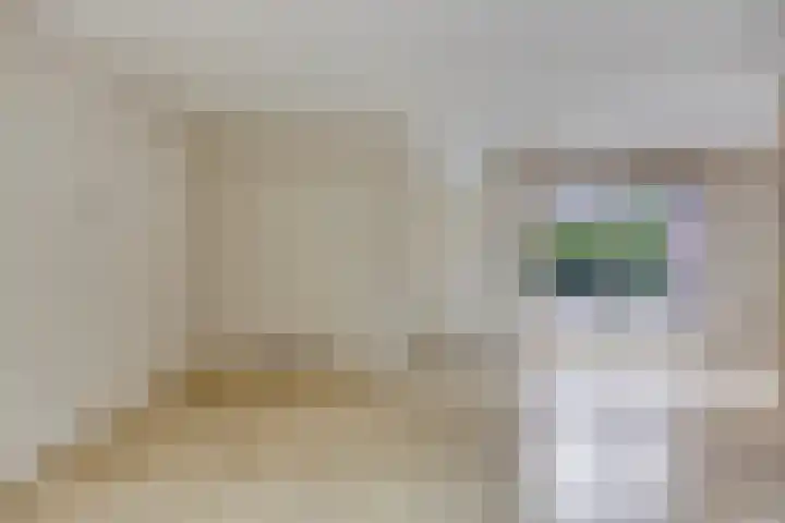 Sabinahof 19 Waarland thumbnail 13