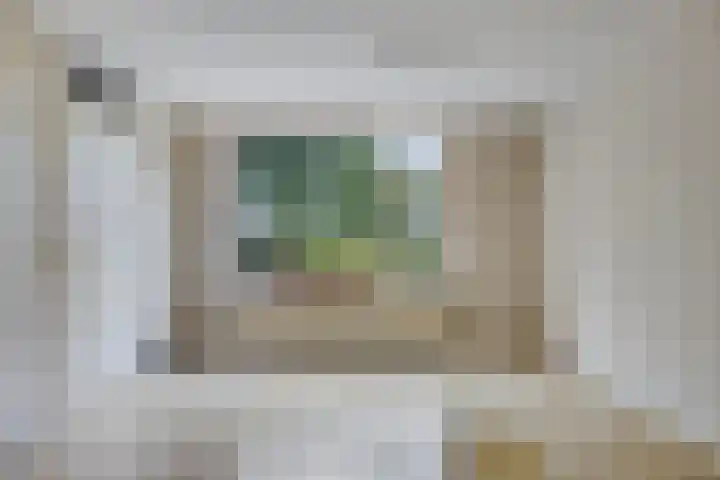 Sabinahof 19 Waarland thumbnail 14