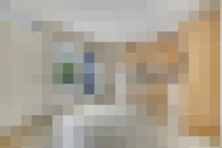 Sabinahof 19 Waarland thumbnail 15