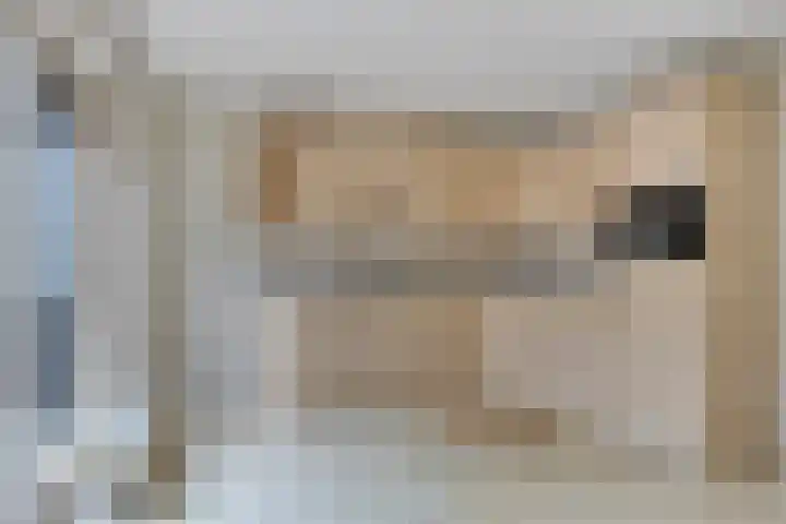 Sabinahof 19 Waarland thumbnail 16