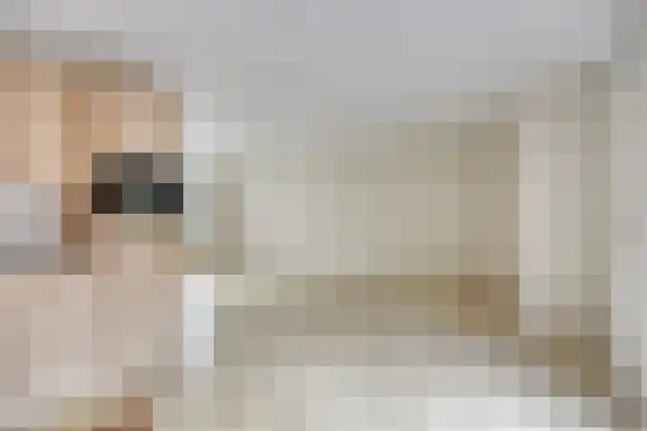 Sabinahof 19 Waarland thumbnail 17