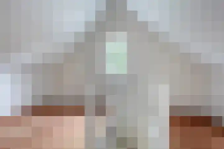 Sabinahof 19 Waarland thumbnail 25