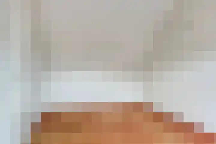 Sabinahof 19 Waarland thumbnail 28