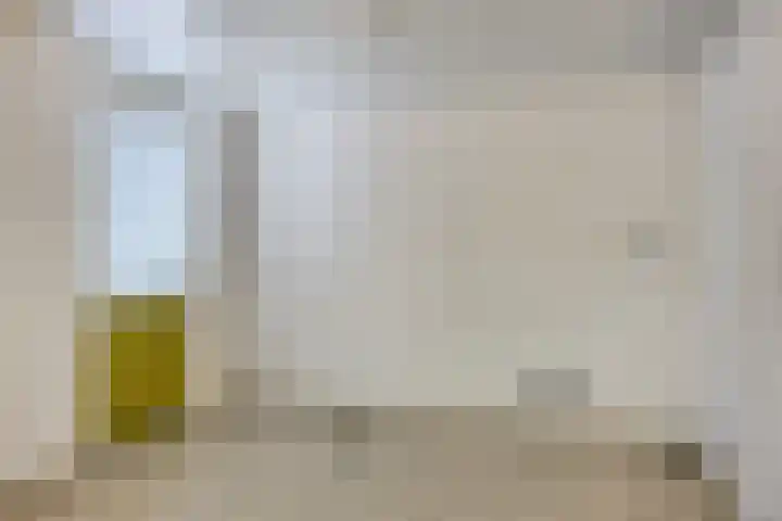 Sabinahof 19 Waarland thumbnail 31