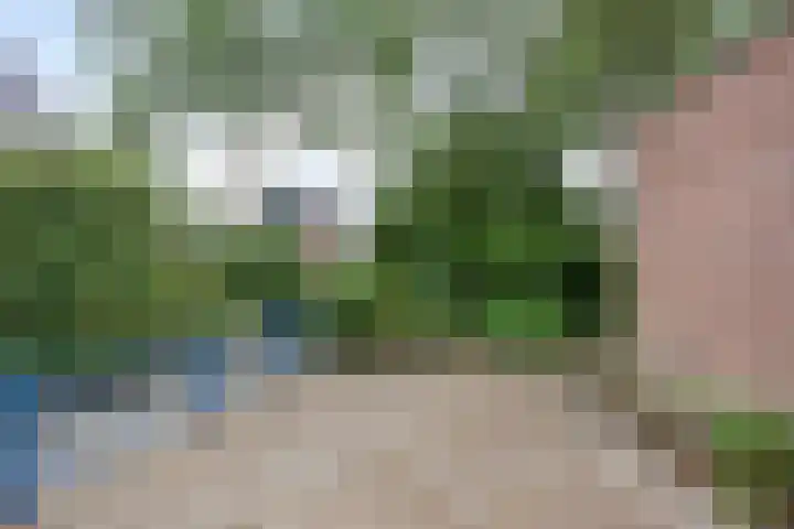Sabinahof 19 Waarland thumbnail 34