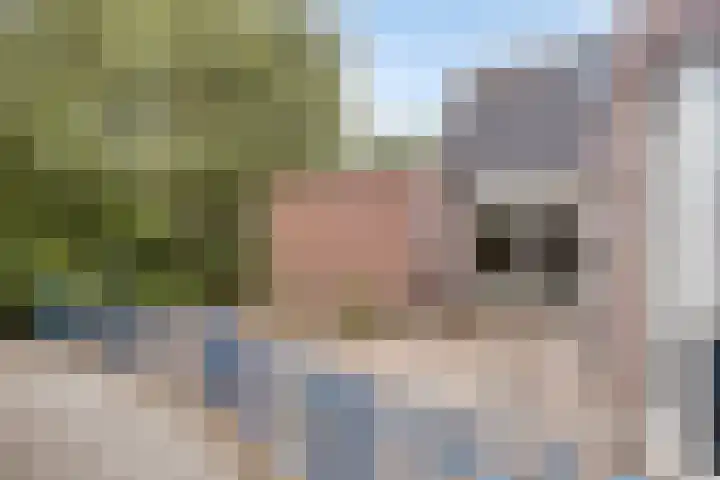 Sabinahof 19 Waarland thumbnail 37