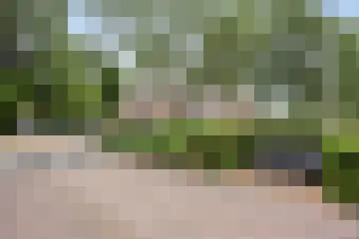 Sabinahof 19 Waarland thumbnail 38