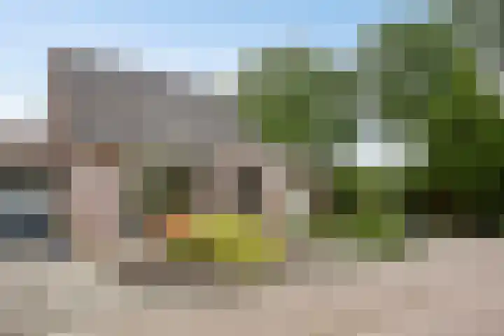 Sabinahof 19 Waarland thumbnail 4