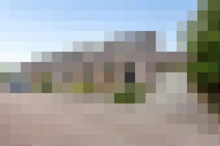 Sabinahof 19 Waarland thumbnail 43