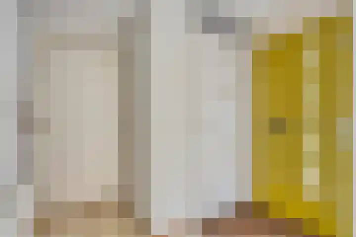 Sabinahof 19 Waarland thumbnail 6
