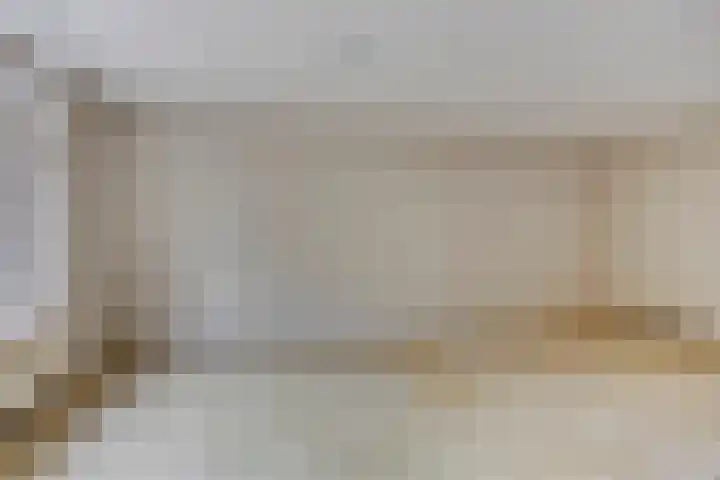 Sabinahof 19 Waarland thumbnail 9