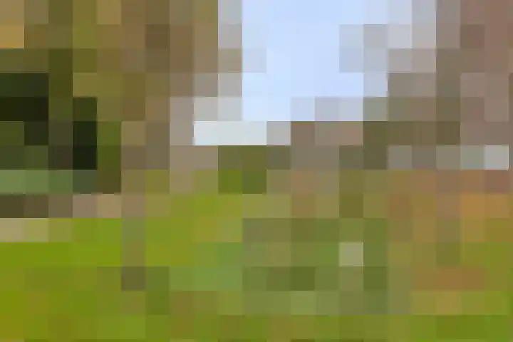 Sabinastraat 10 Weert thumbnail 35