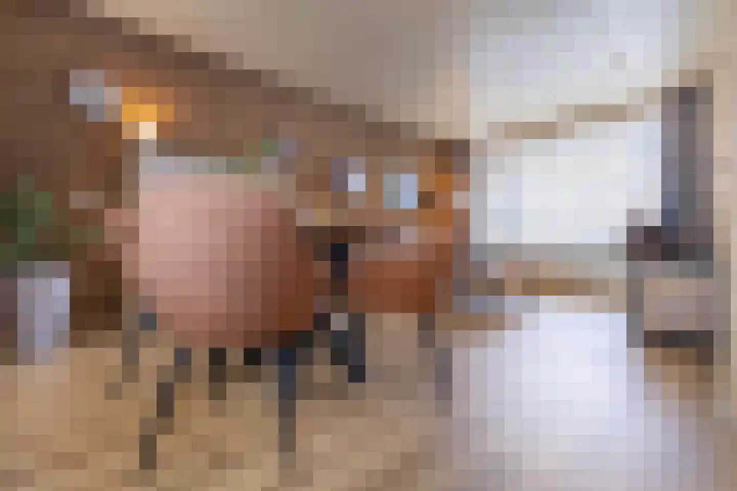 Sabinastraat 14 Weert thumbnail 7