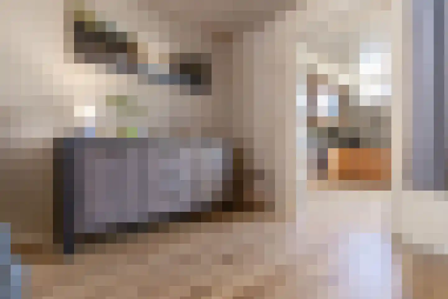 Sabinastraat 14 Weert thumbnail 9