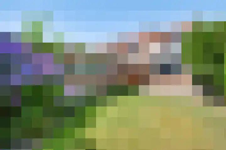 Sabinastraat 28 Weert thumbnail 40