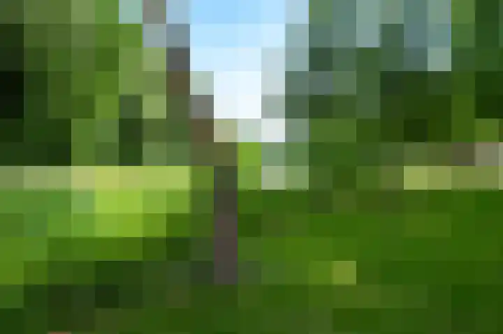 Sabinastraat 28 Weert thumbnail 43