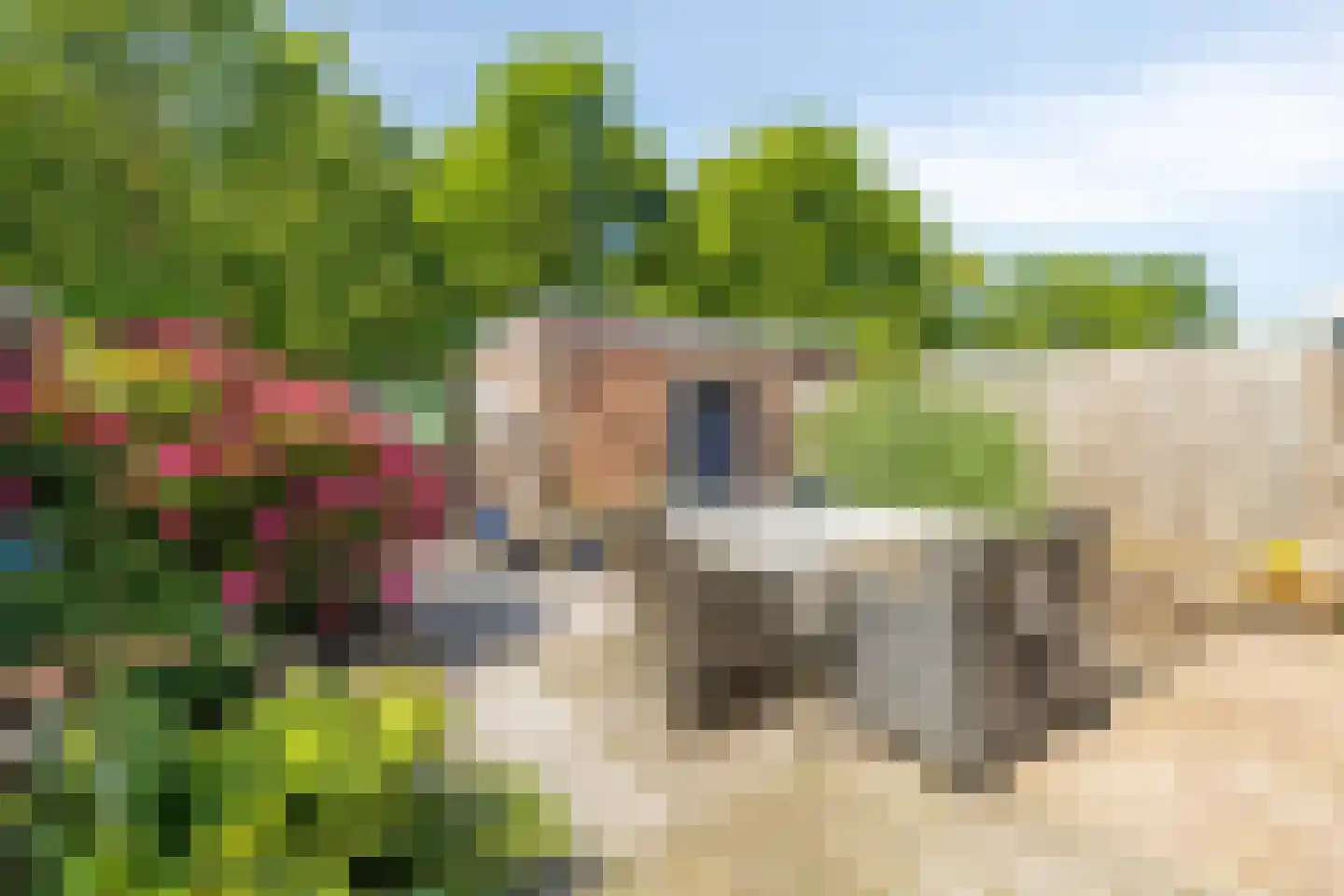 Sabinastraat 3 Nieuw-Beijerland thumbnail 11
