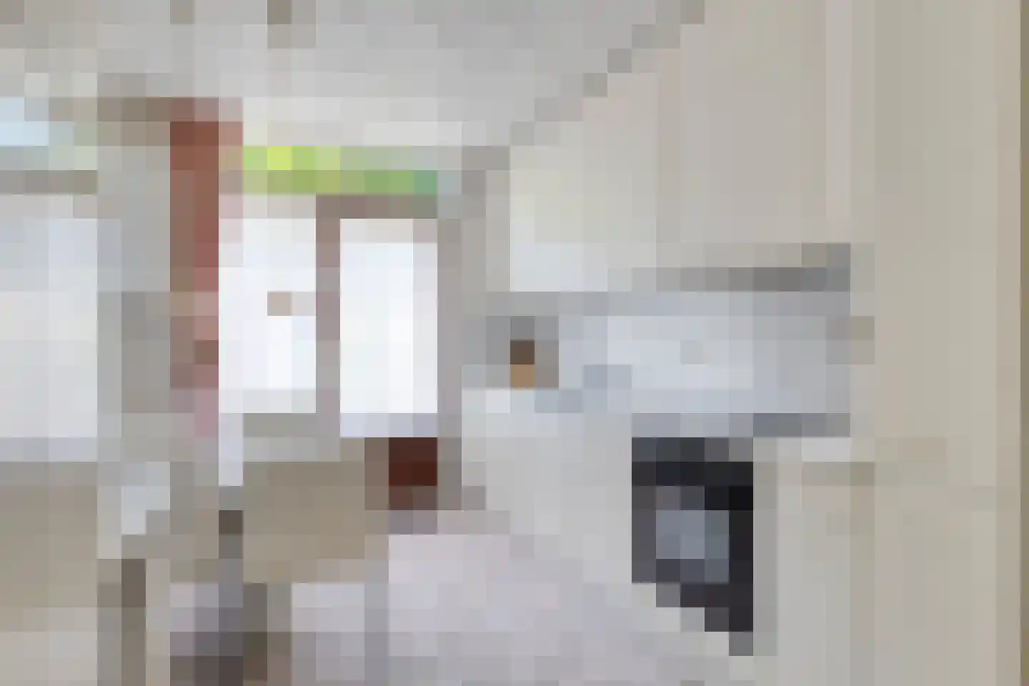 Sabinastraat 3 Nieuw-Beijerland thumbnail 15