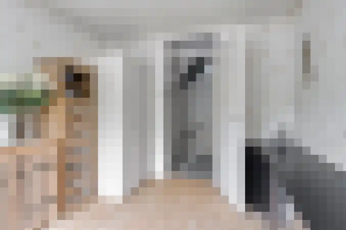 Sabinastraat 3 Nieuw-Beijerland thumbnail 23