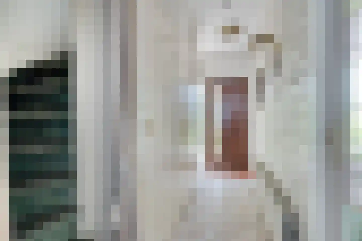 Sabinastraat 3 Nieuw-Beijerland thumbnail 5