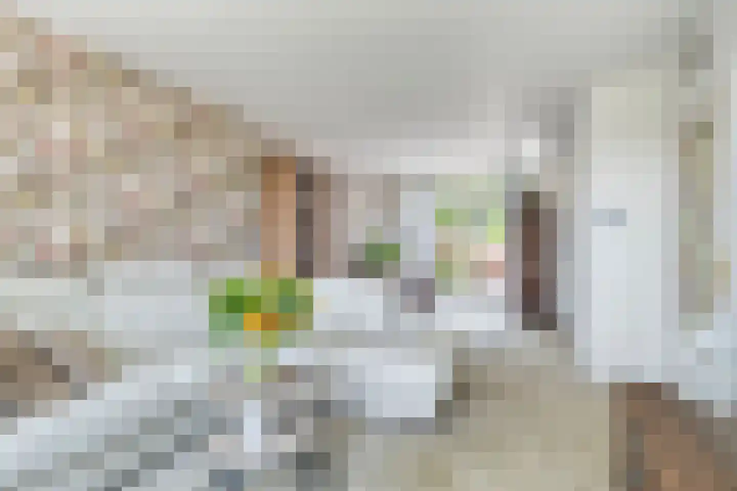 Sabinastraat 3 Nieuw-Beijerland thumbnail 7
