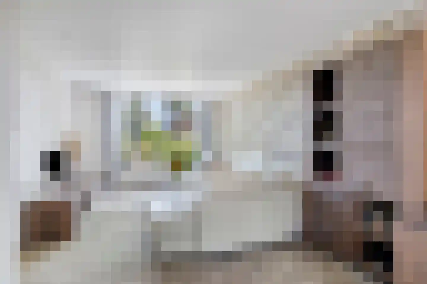 Sabinastraat 3 Nieuw-Beijerland thumbnail 9