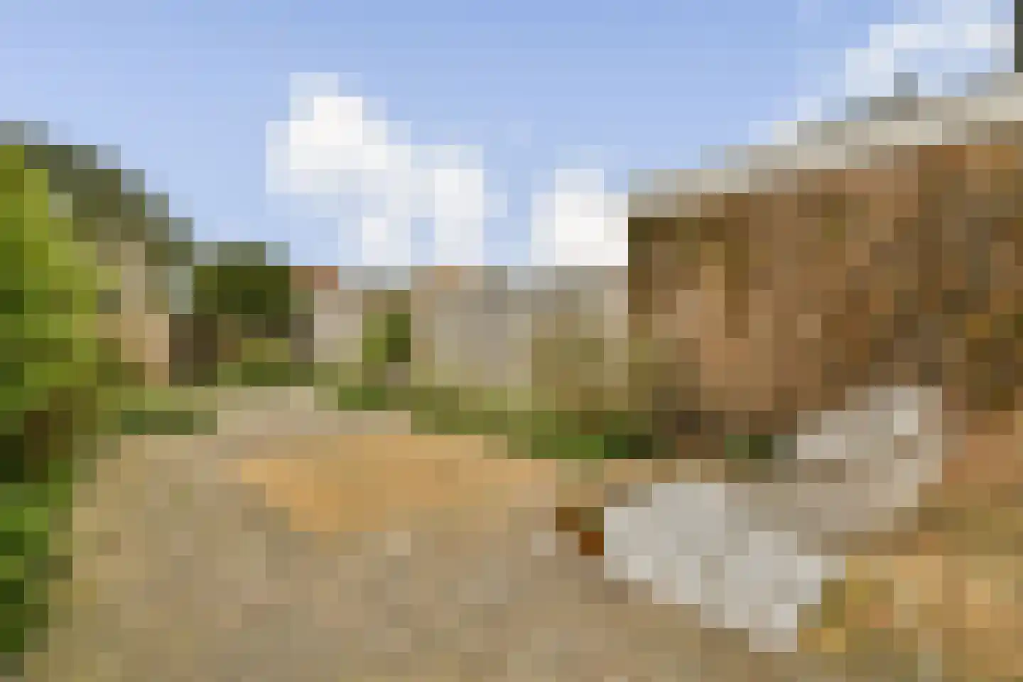 Sabine van Beierenlaan 13 Egmond aan den Hoef thumbnail 11